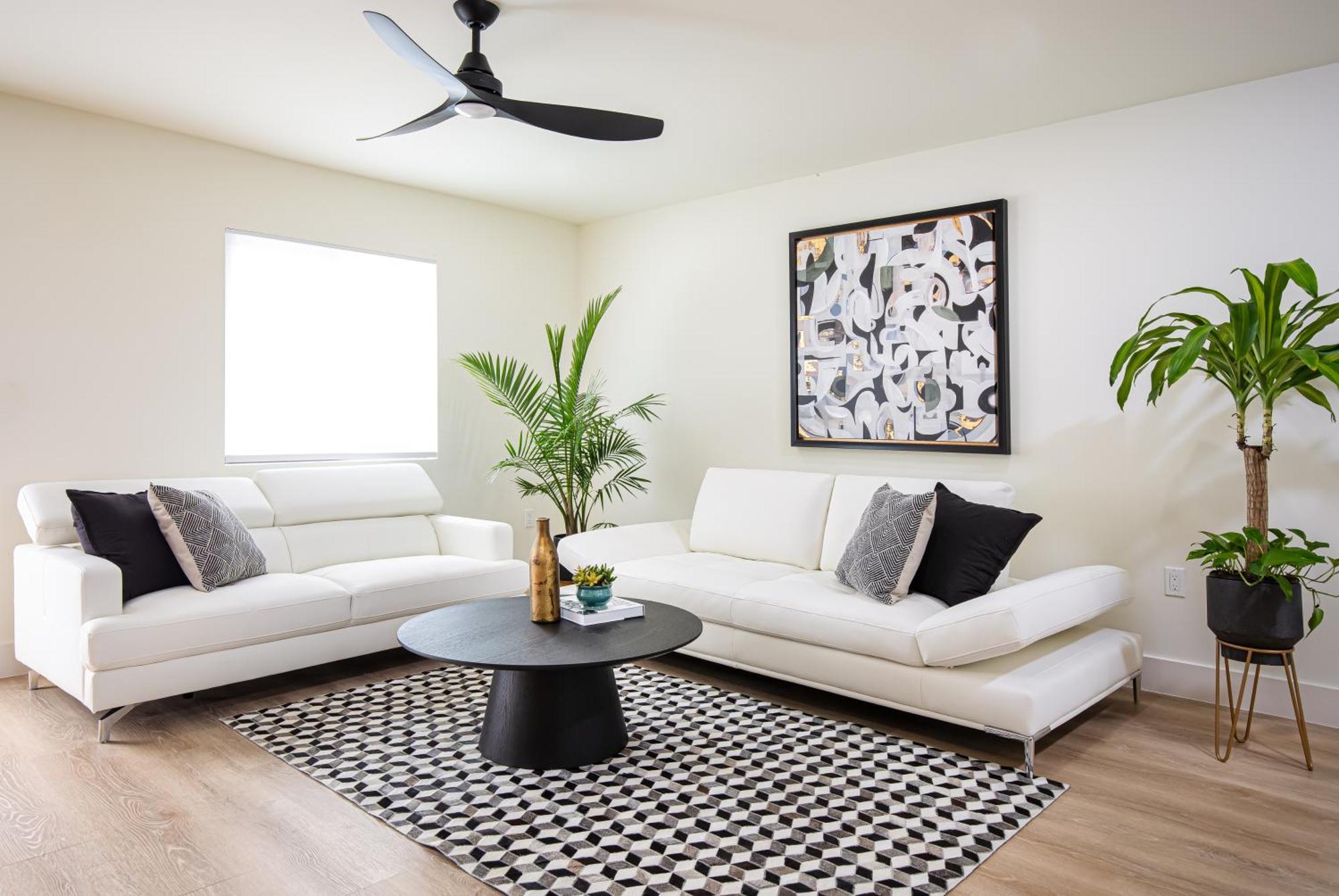 Black Vanilla - Stylish Symphony 3Miles Downtown Naples Luaran gambar